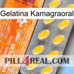 Kamagraoral Jelly new05